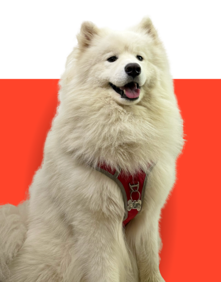 Fluffy